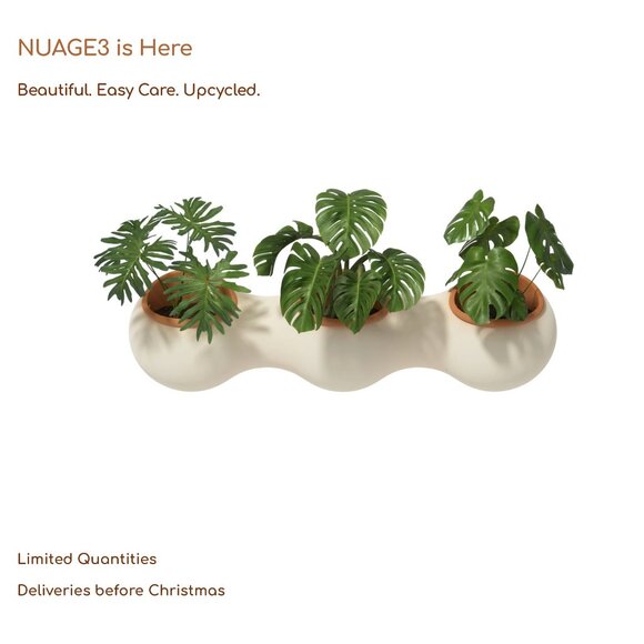 NUAGE Vertical Garden - Picture 1 of 14